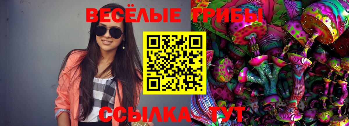 Псилоцибиновые грибы Cubensis Аргун
