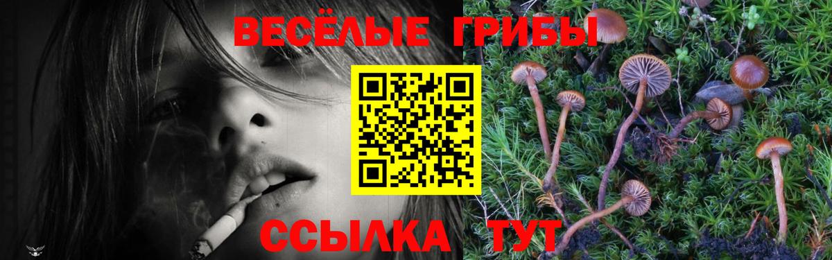 Аргун  Галлюциногенные грибы Psilocybine cubensis  Псилоцибиновые грибы ЛСД  Вход с VPN 